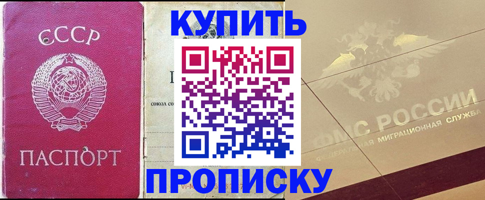 прописка для школы в Чехове